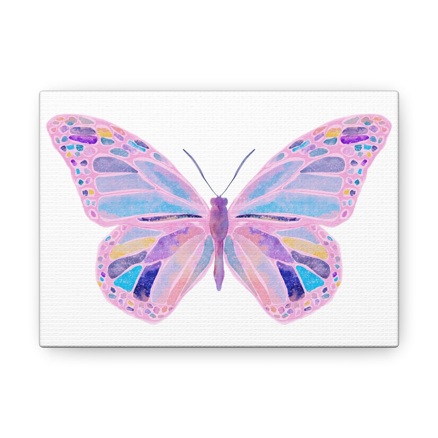 Butterfly Canvas Wrap