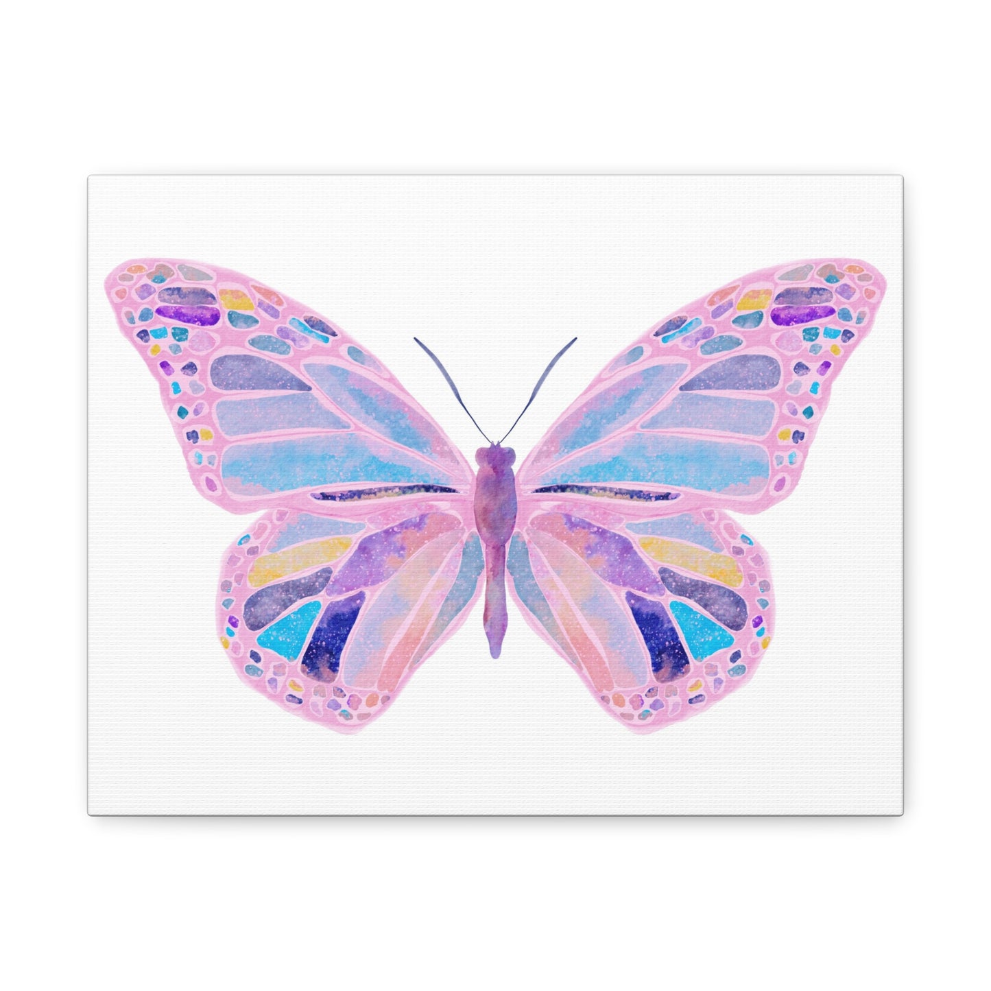 Butterfly Canvas Wrap